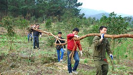 ��(w��n)����ˎ���г�һֱ���Є�(d��ng)